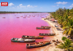 Best Ways to Send Money to Senegal in 2026