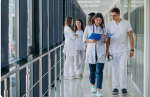 Healthcare in the Netherlands: An Expat's Essential Guide