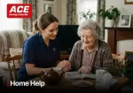 Irish Immigration Service Online Work for Home Help