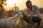 How Moroccan Expats in France Celebrate Eid ul Adha