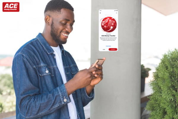 Instant Wallet transfers from France to Nigeria in 2025