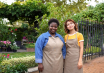 Jobs Nigerians Can Get in the Netherlands Without a Degree