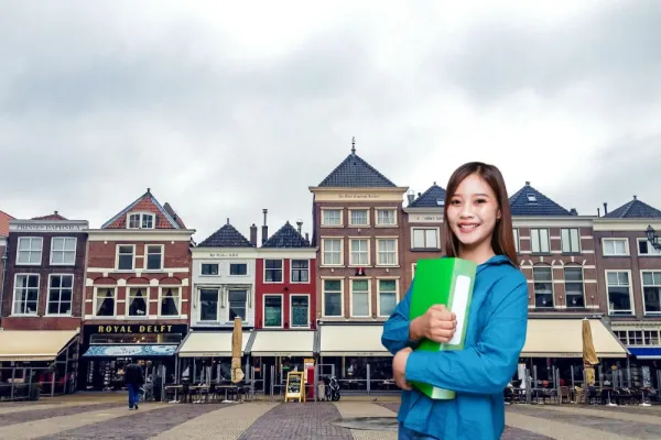 Netherlands Work Visa: Types, Requirements & Process for Expats