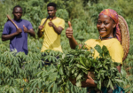 How Cypriot Remittances Are Boosting Gambia’s Agricultural Growth