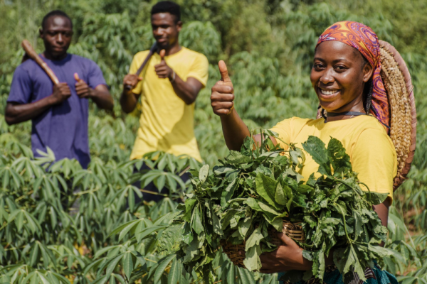 How Cypriot Remittances Are Boosting Gambia’s Agricultural Growth