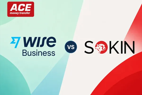 Wise Business vs Sokin: Which Global Payments Platform Fits Your Company Best?